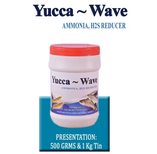 YUCCA WAVE - अमोनिया REDUCER
